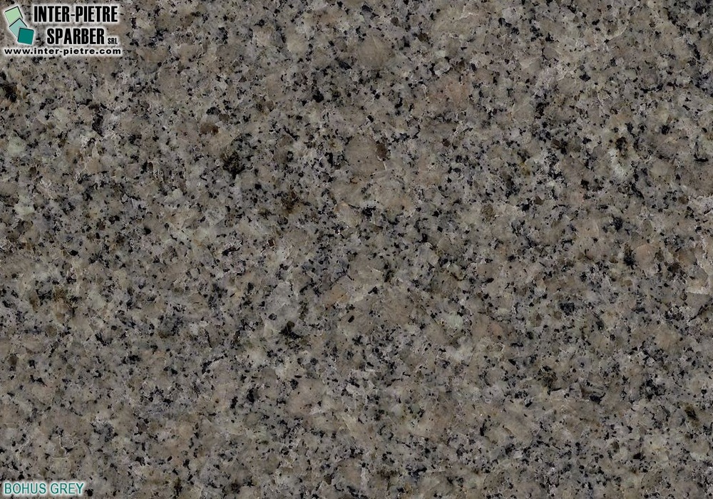 Bohus Grey
