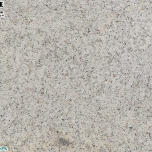 Kashmir White New
