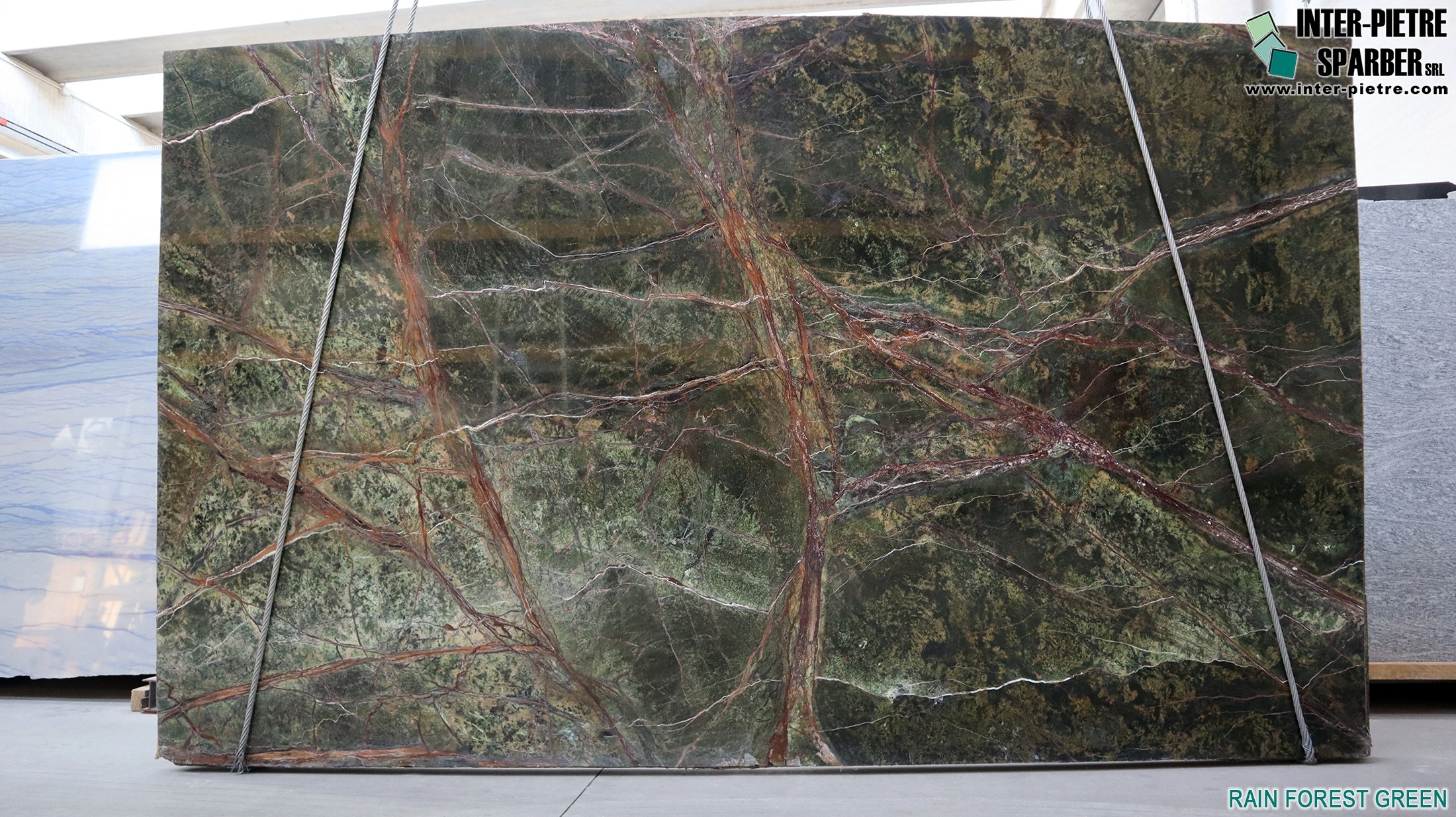 Rain Forest Green_RP