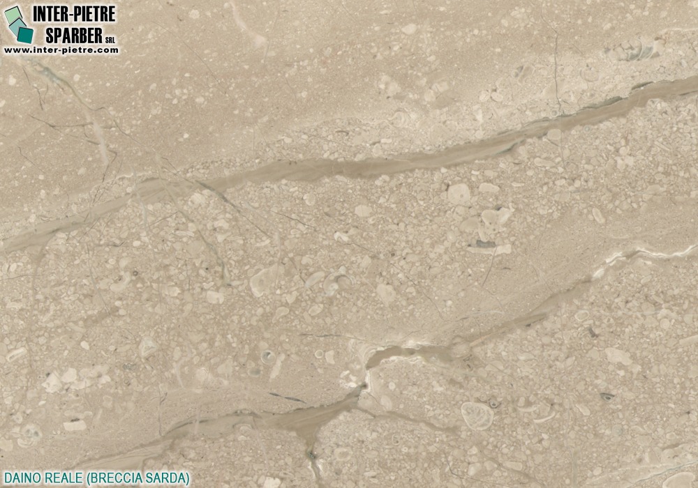 Daino Reale Breccia Sarda