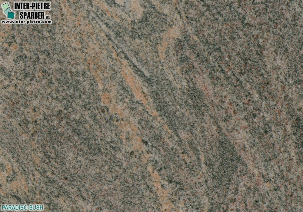 Paradiso Bush